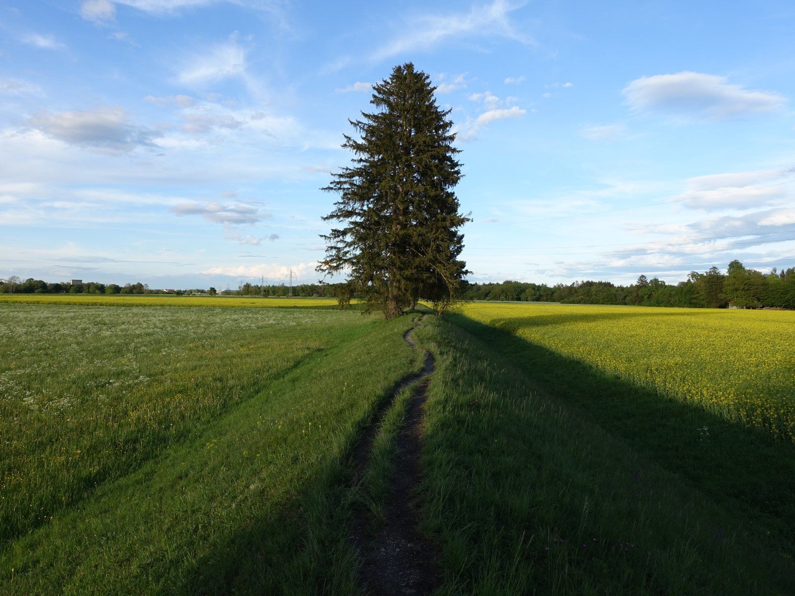 DSC08069.JPG