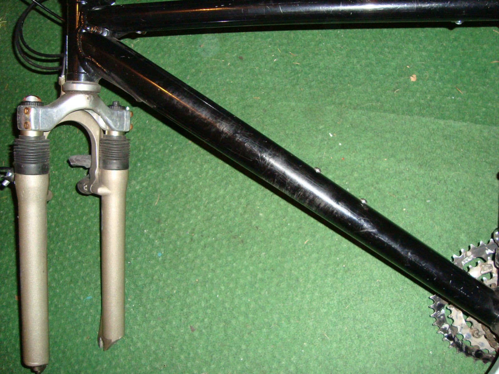DSC08483.JPG