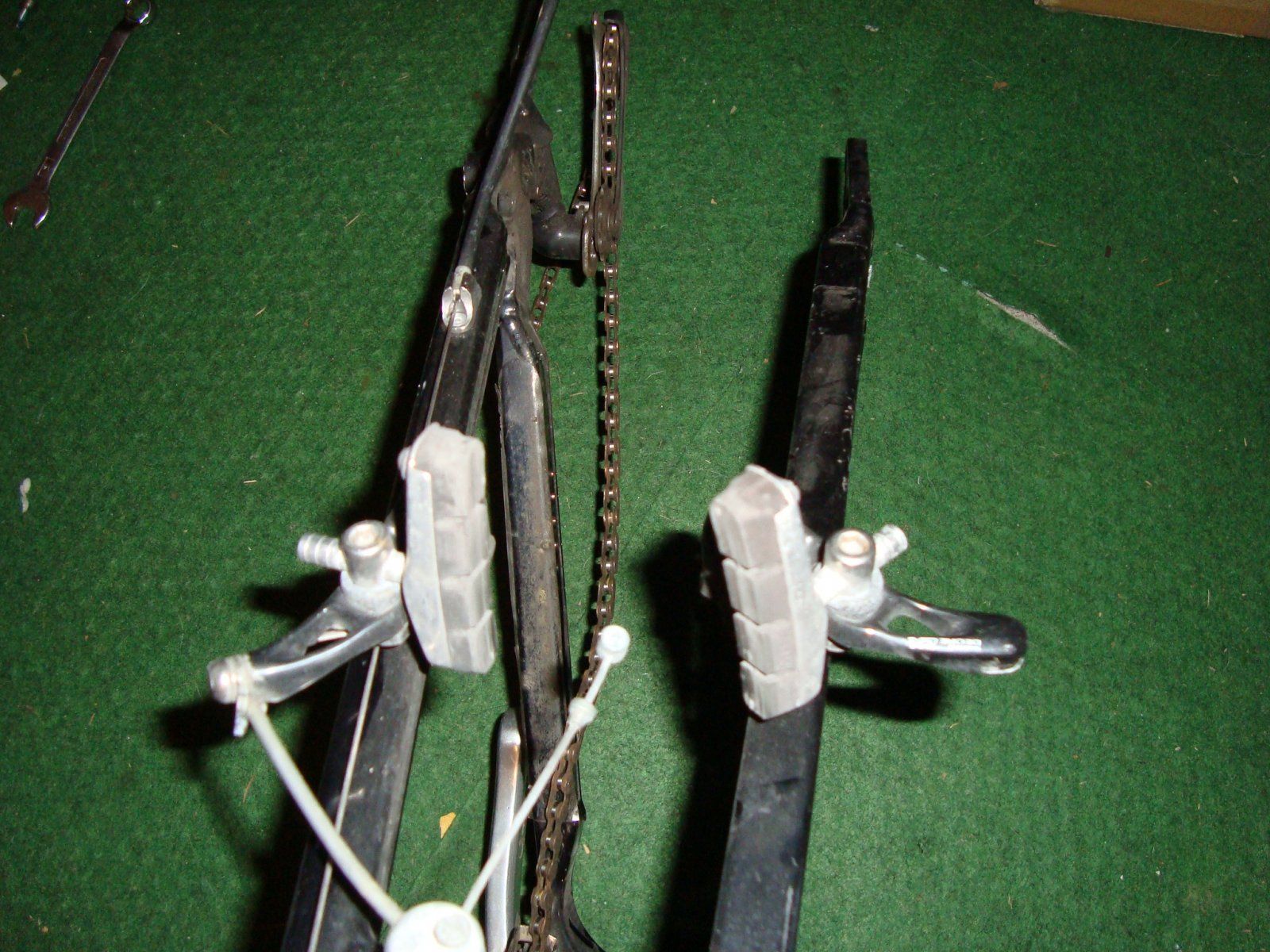 DSC08484.JPG