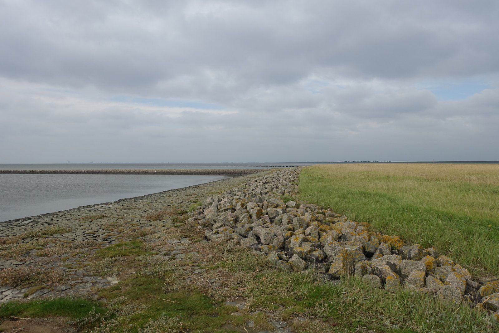 DSC08490.JPG