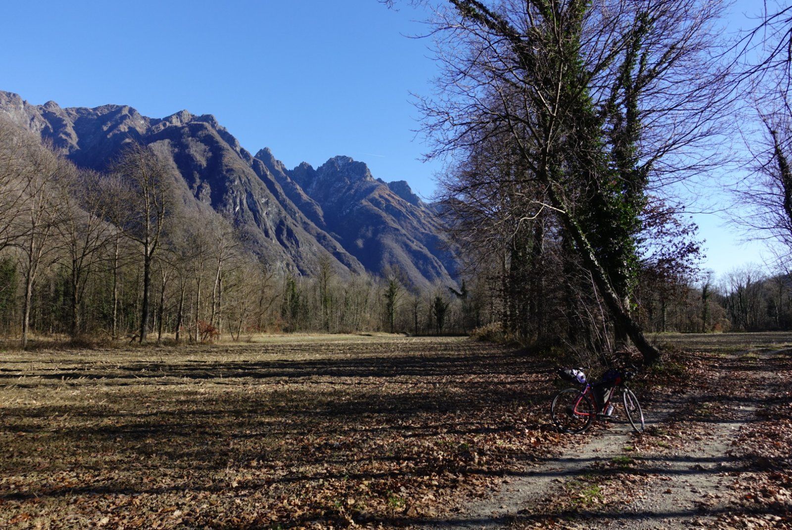 DSC08857.JPG