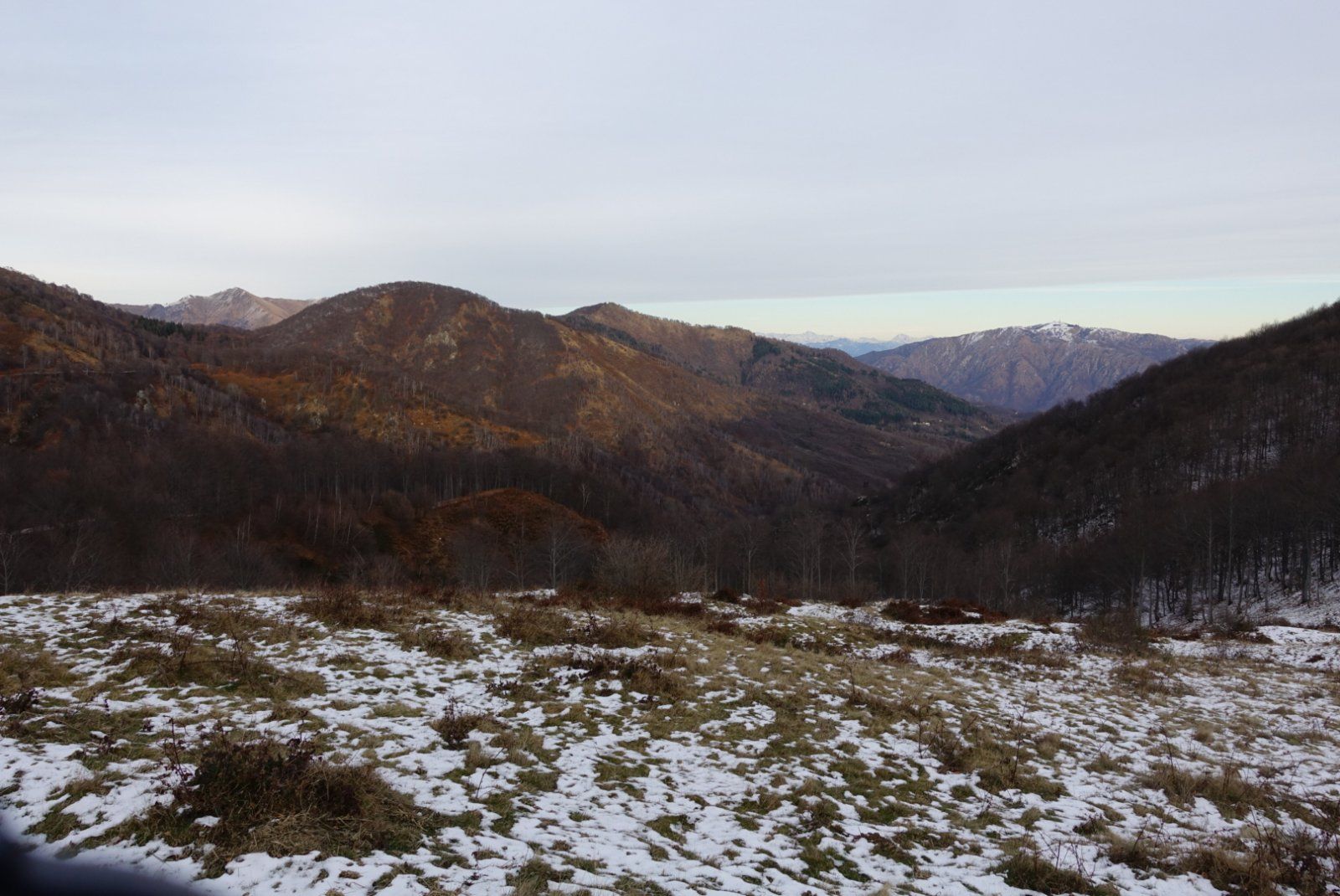 DSC08883.JPG