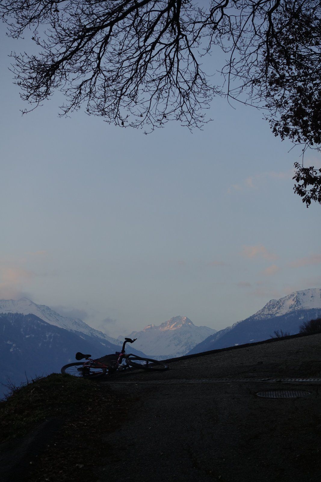 DSC09785.JPG