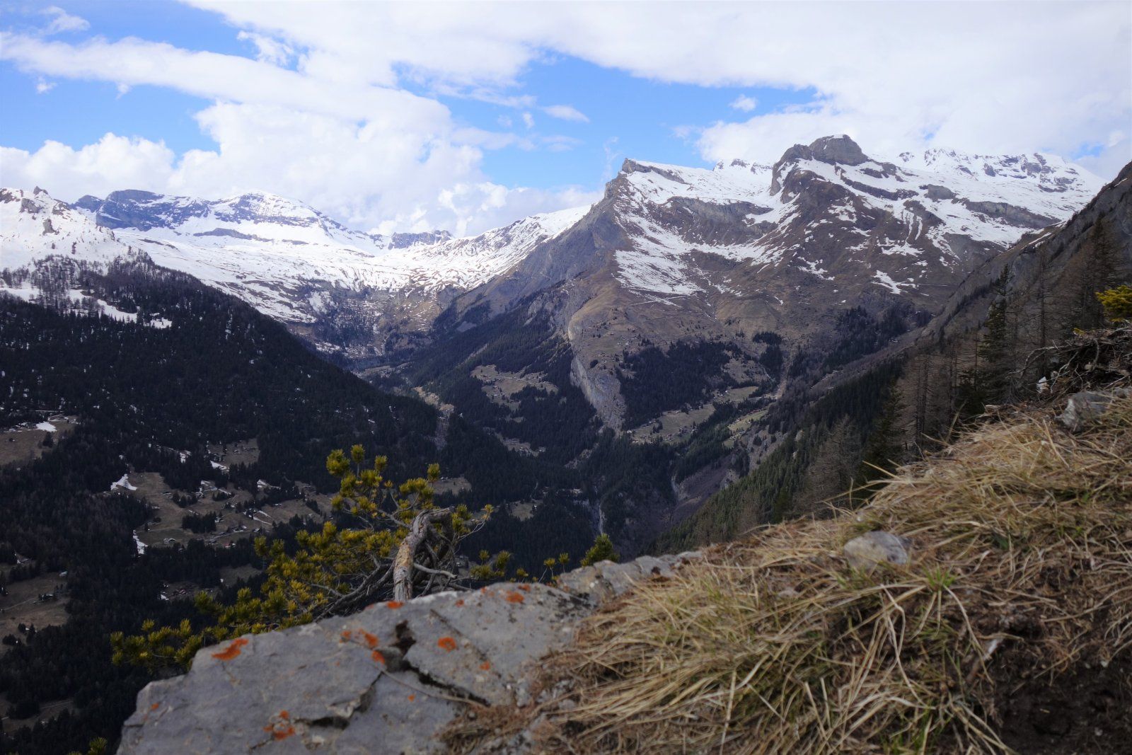 DSC09955 (2).JPG