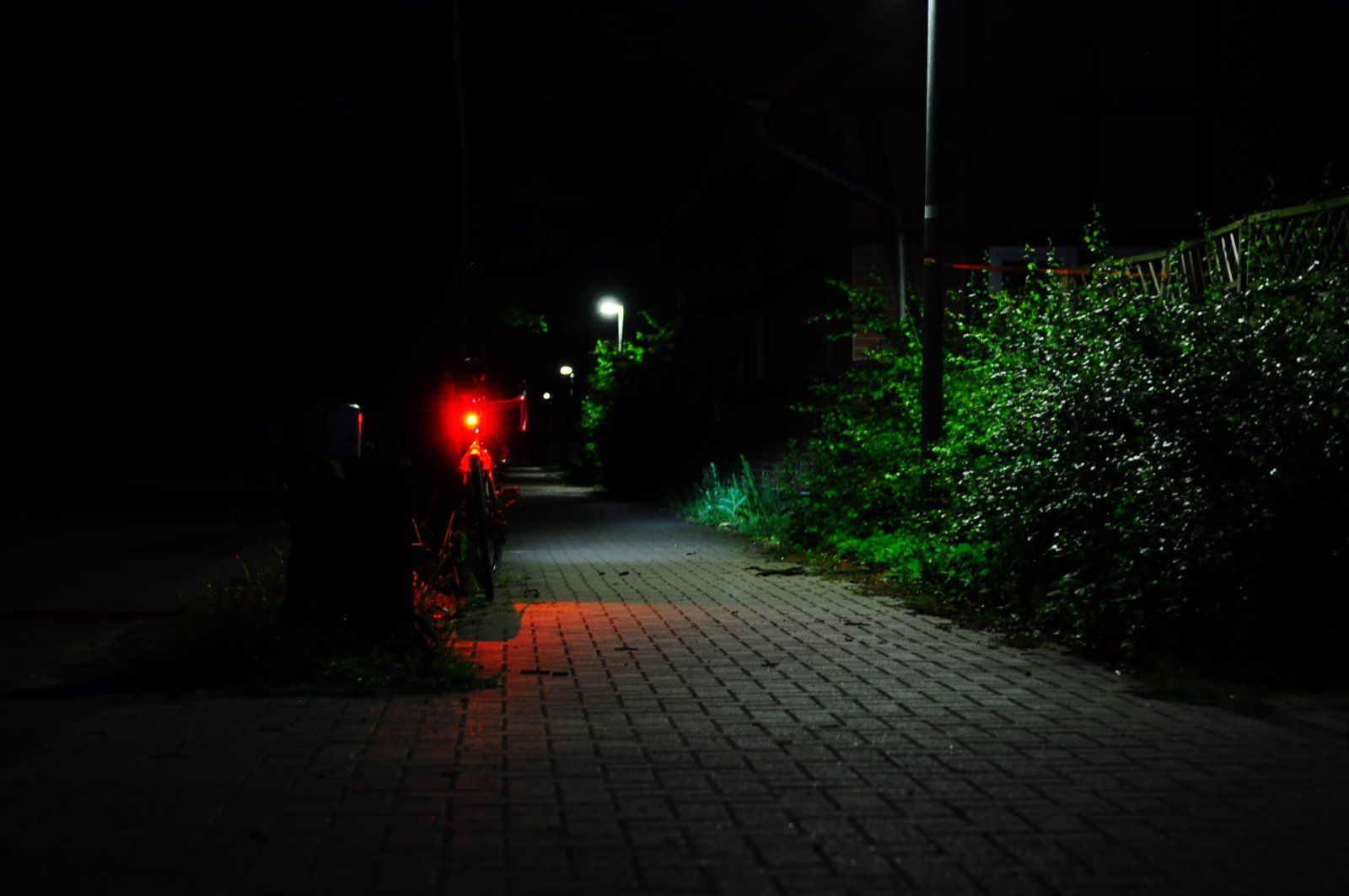 DSC_0010.JPG
