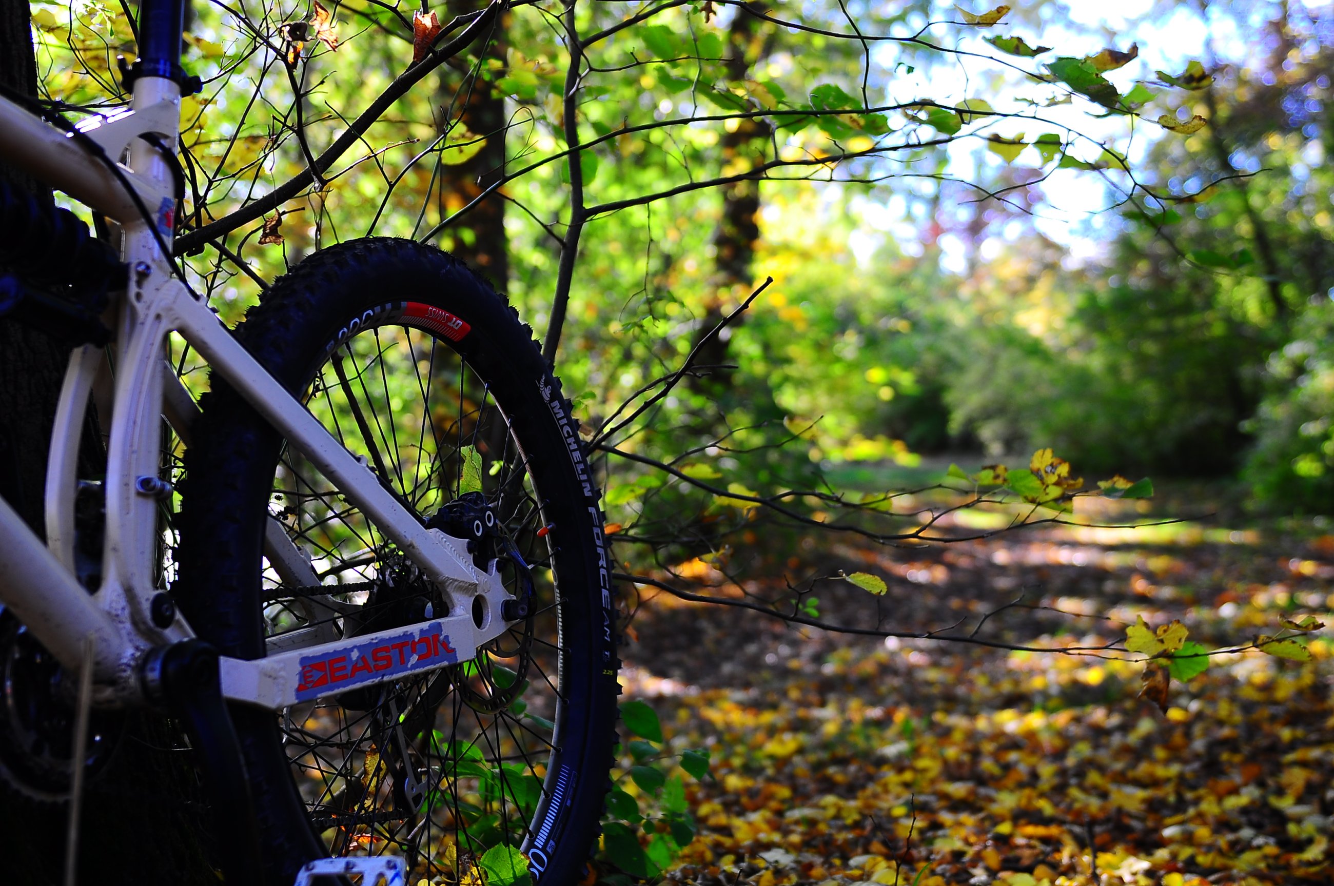 DSC_0040.JPG