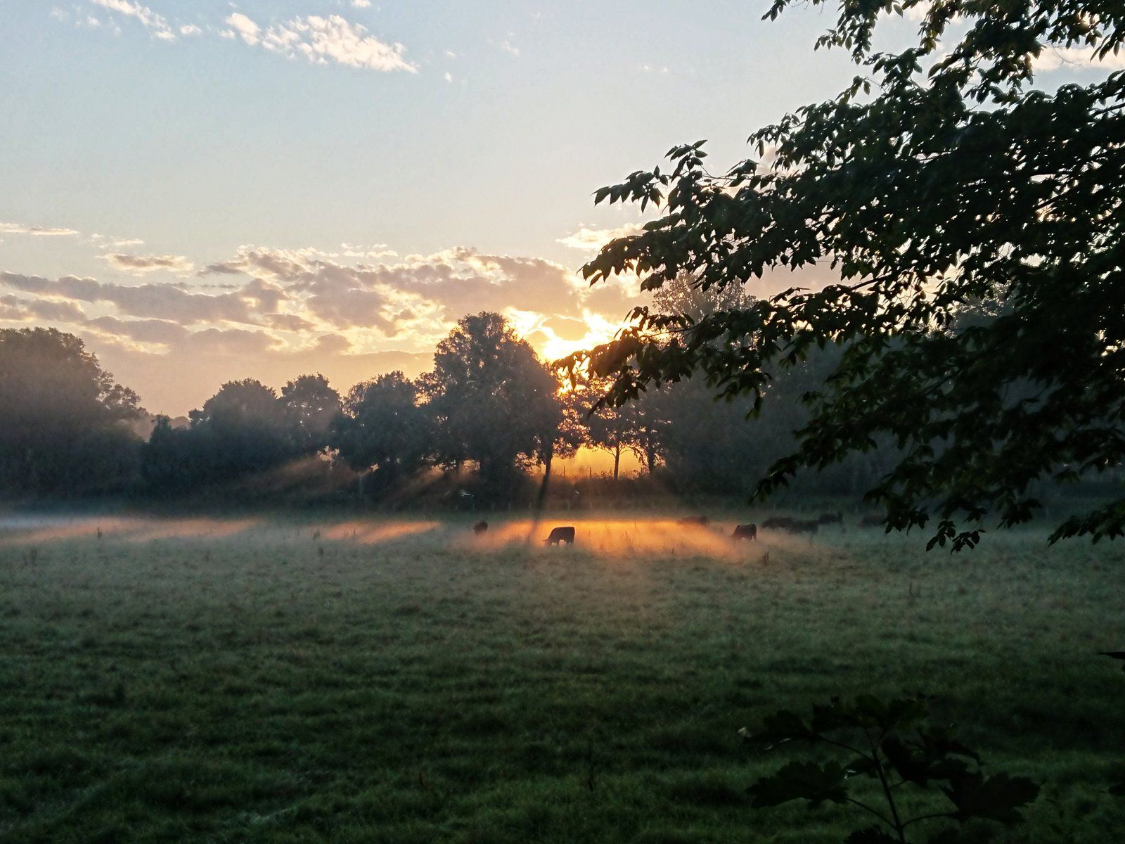 DSC_0061-01.jpeg