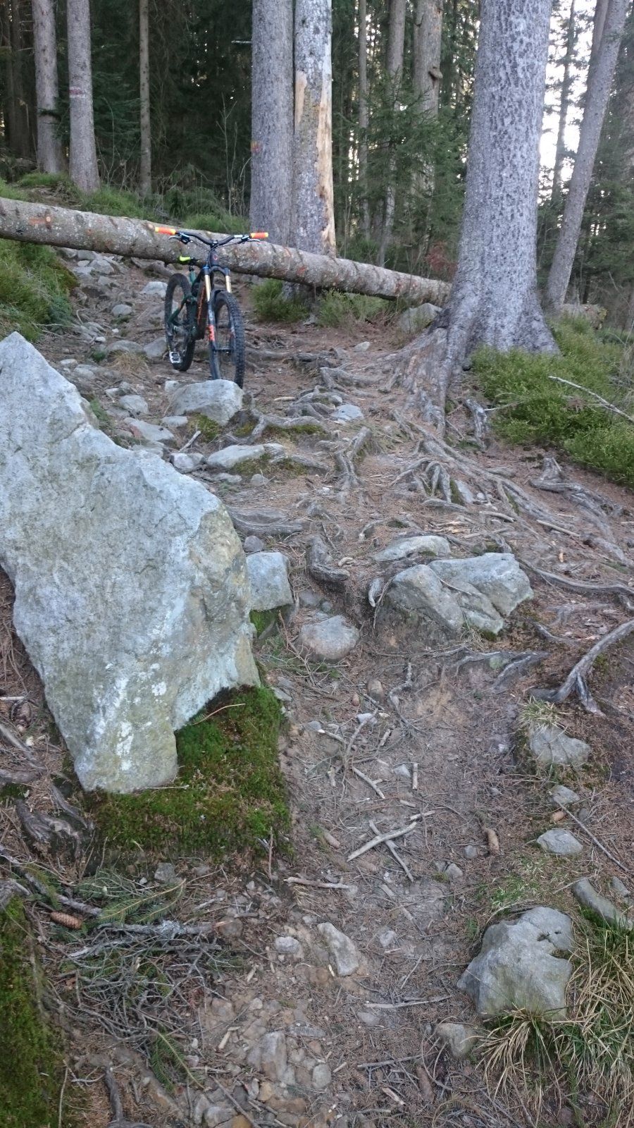 DSC_0095_6.JPG