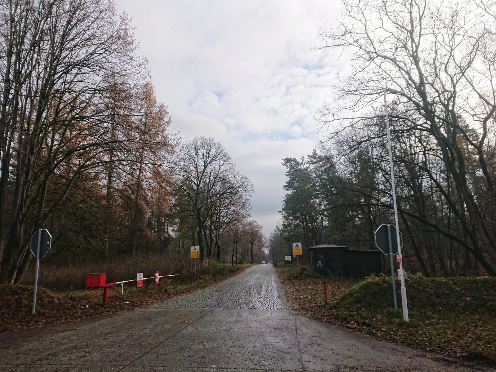 DSC_0472-01.jpeg
