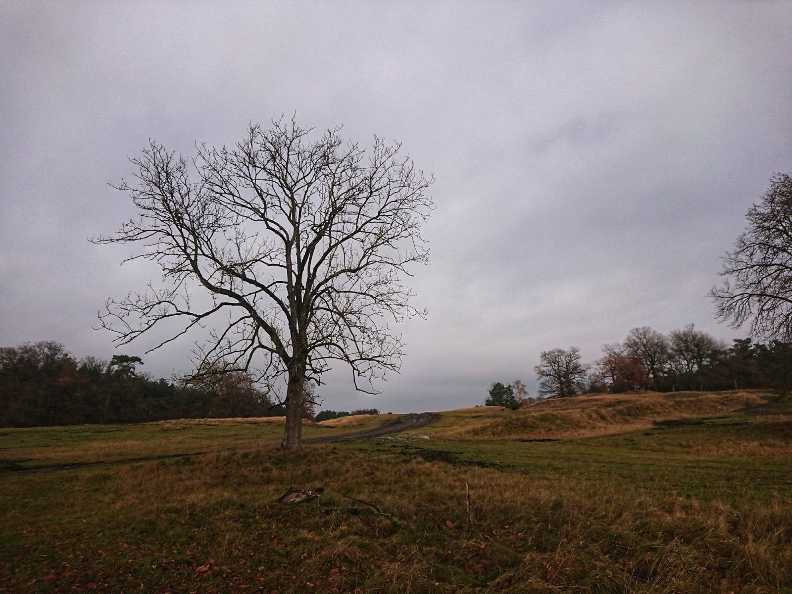 DSC_0479-01.jpeg