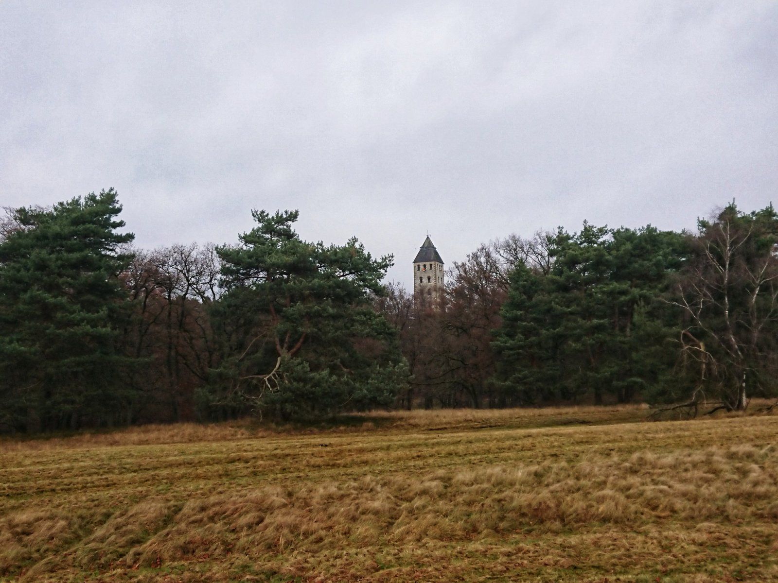 DSC_0482-01.jpeg