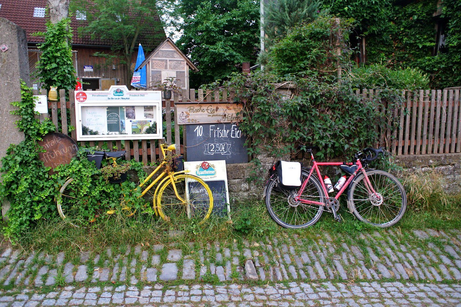 dsc_0831.jpg