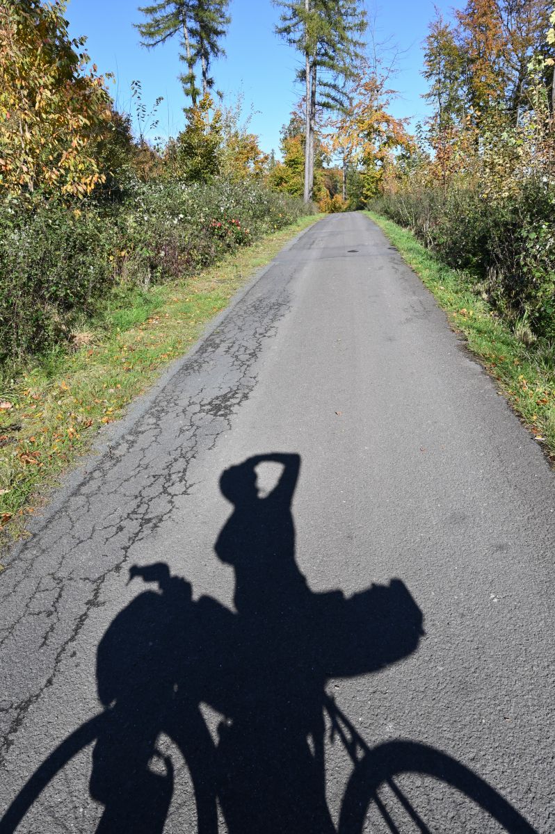 DSC_0990.JPG