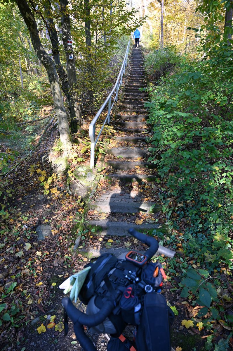 DSC_1035.JPG
