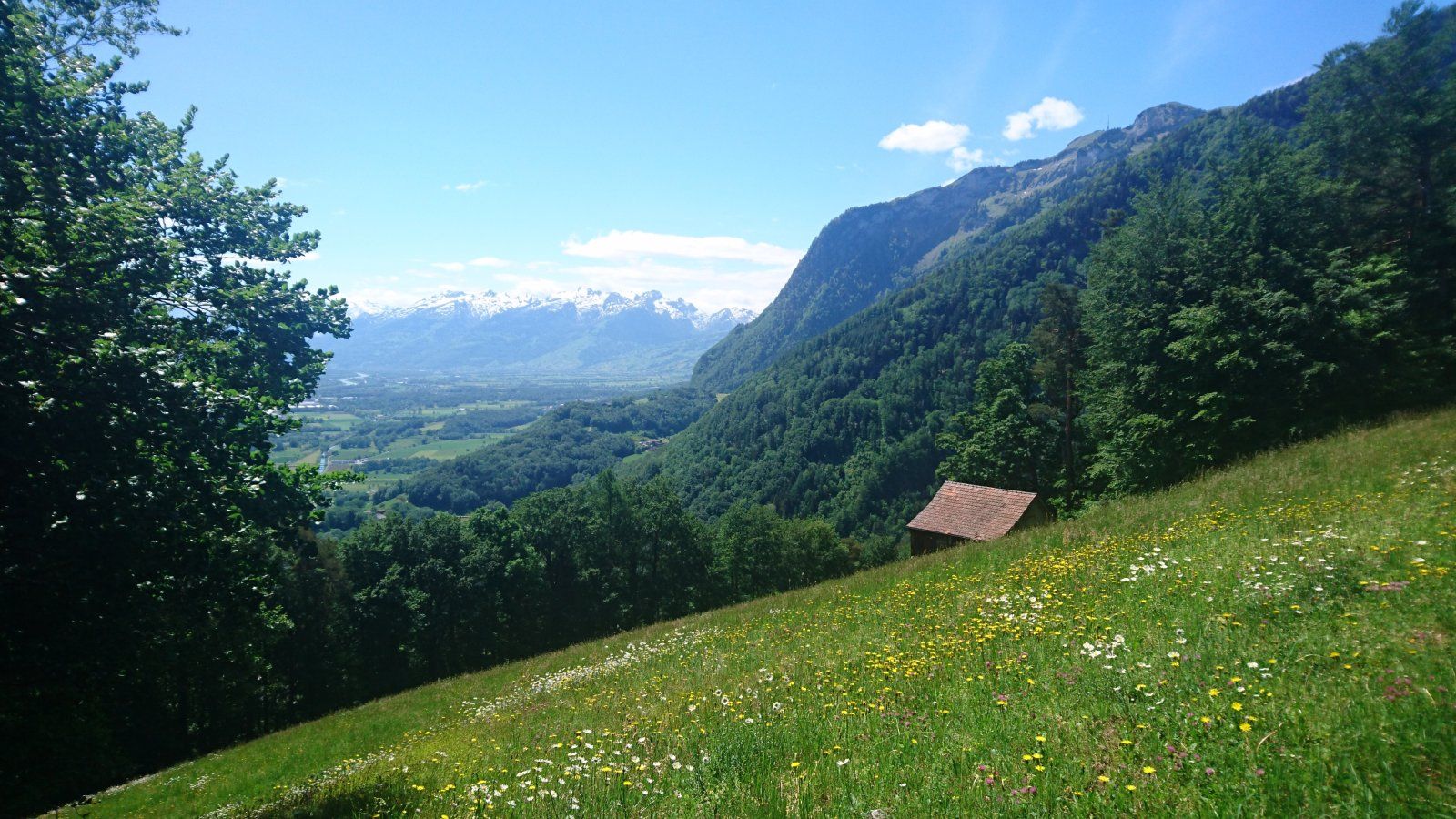 DSC_1203.JPG