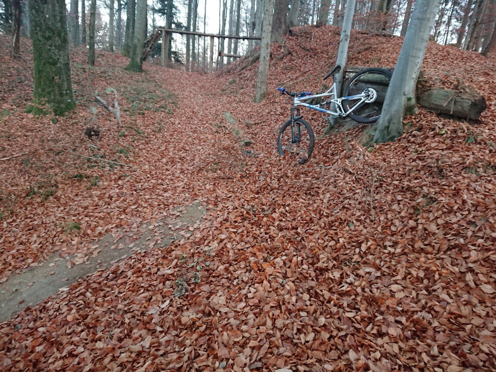 DSC_1282.jpg