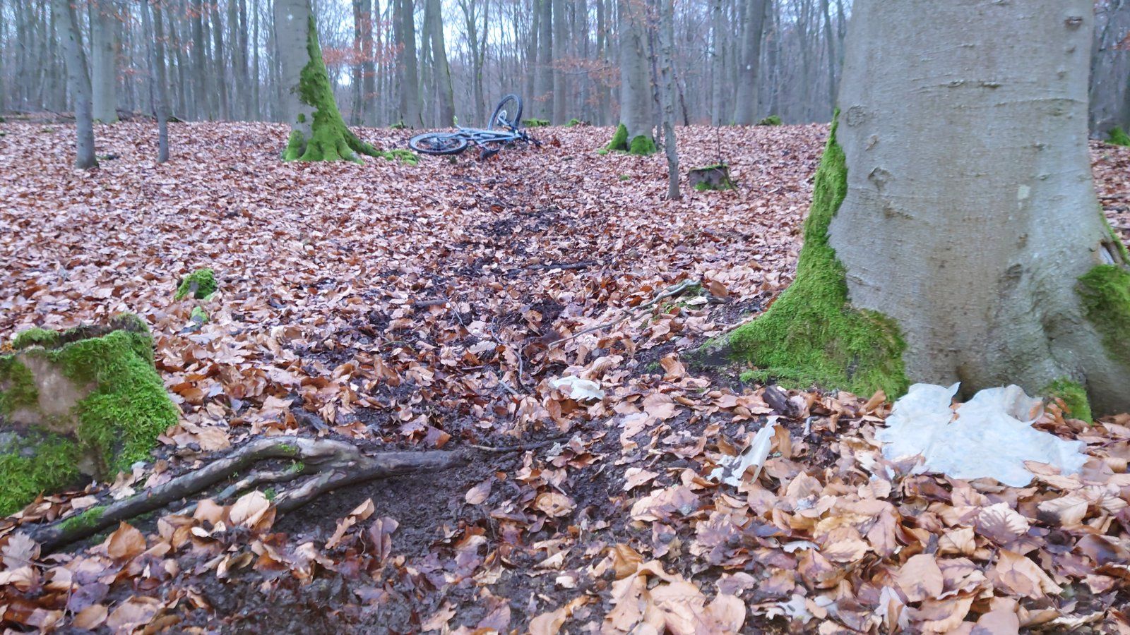 DSC_1615.JPG