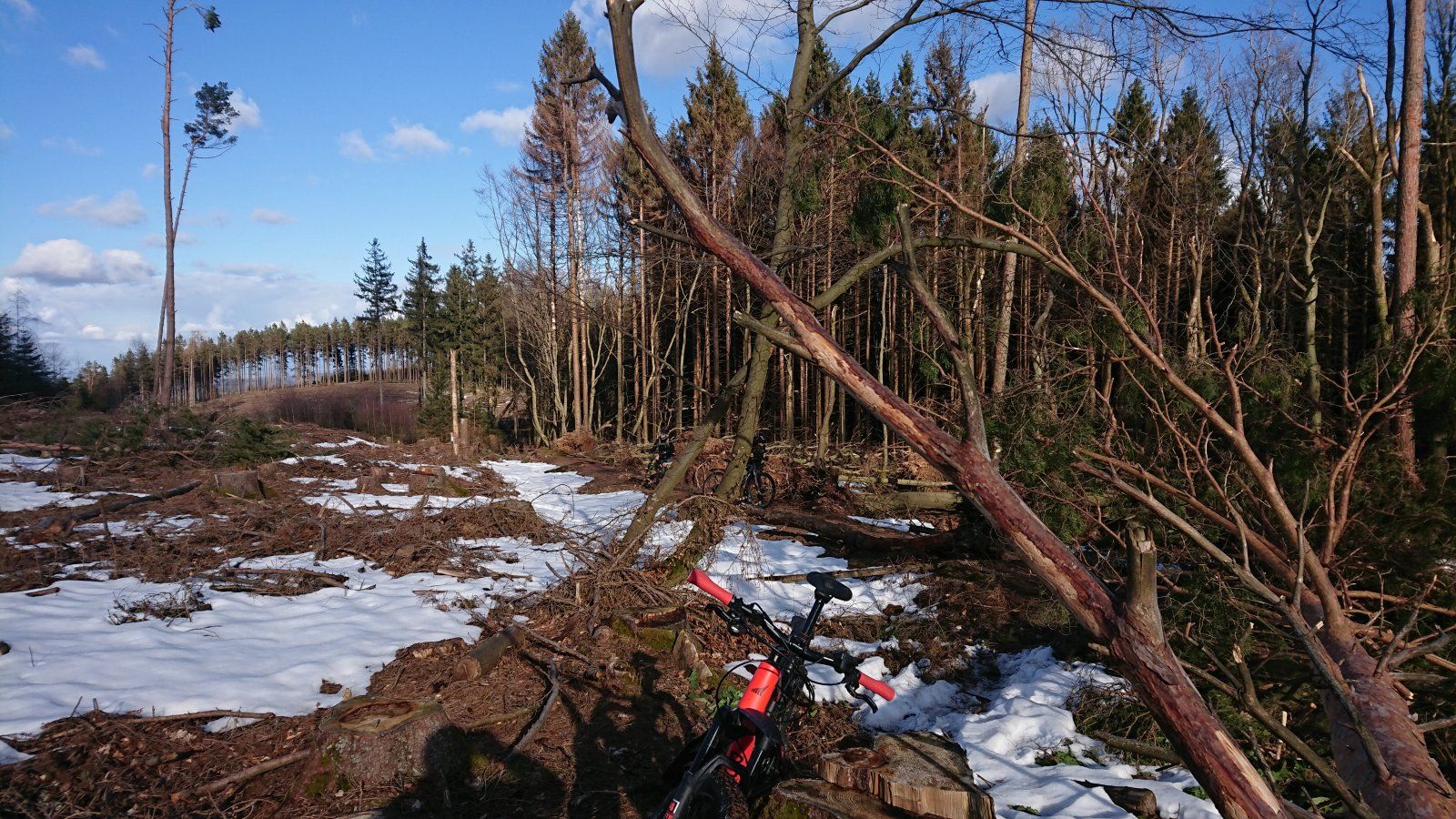 DSC_2427.JPG