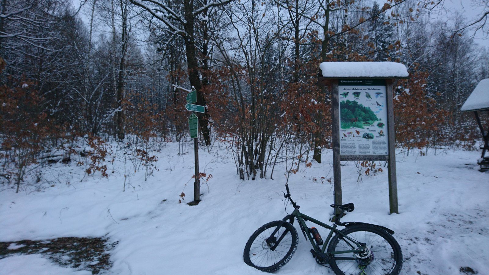 DSC_2819.JPG
