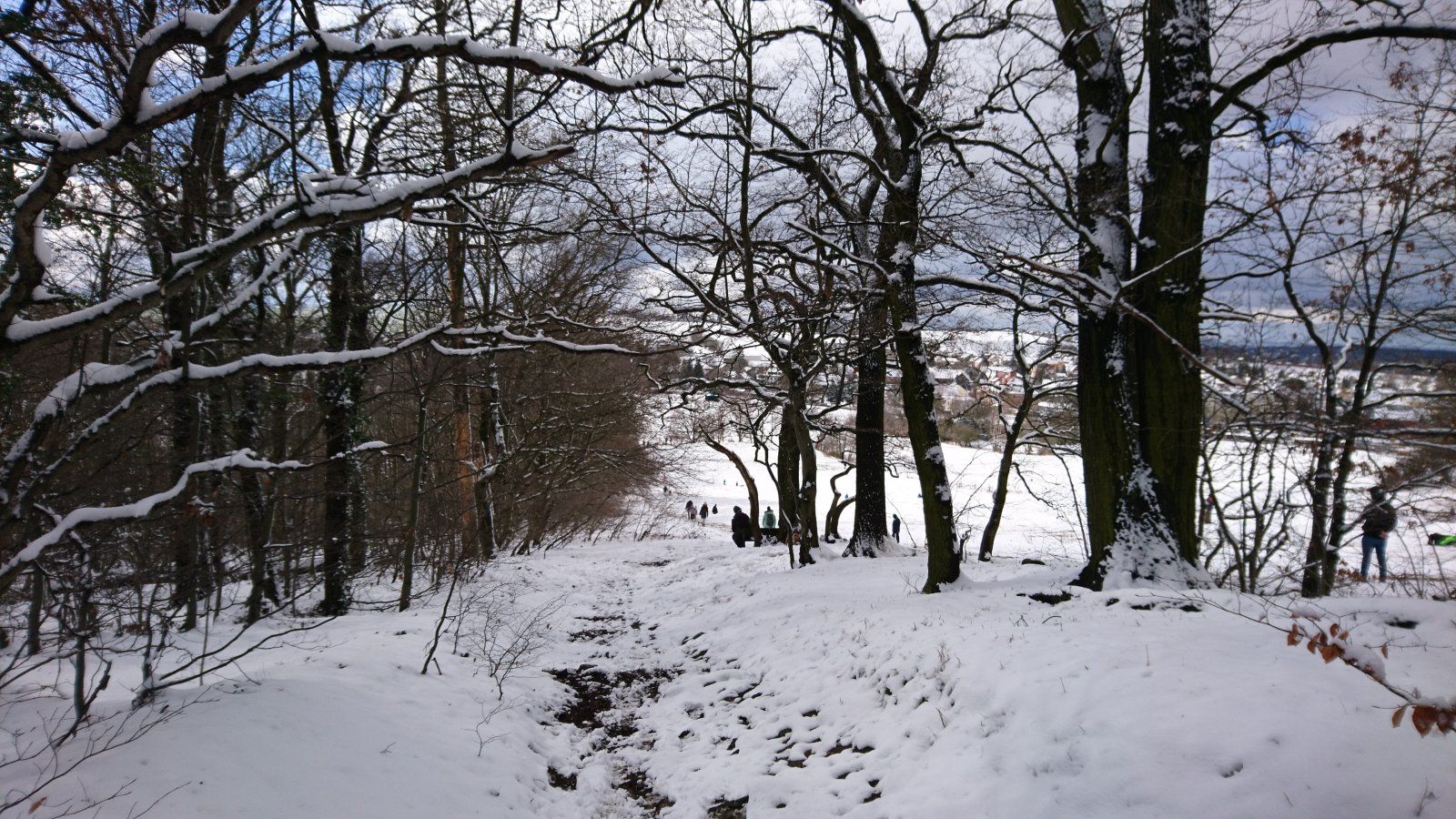 DSC_2858.JPG