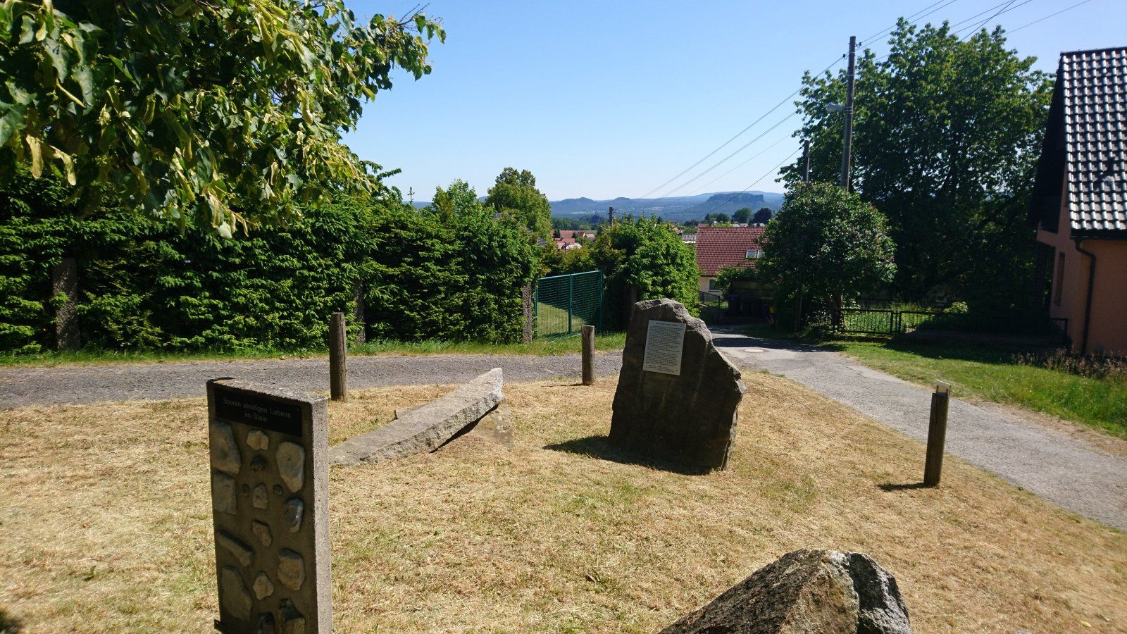 DSC_2980.JPG