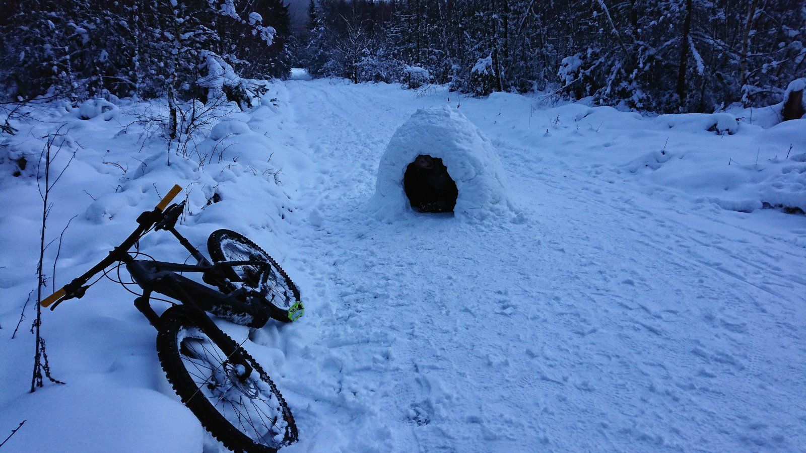 DSC_3482 (2).JPG