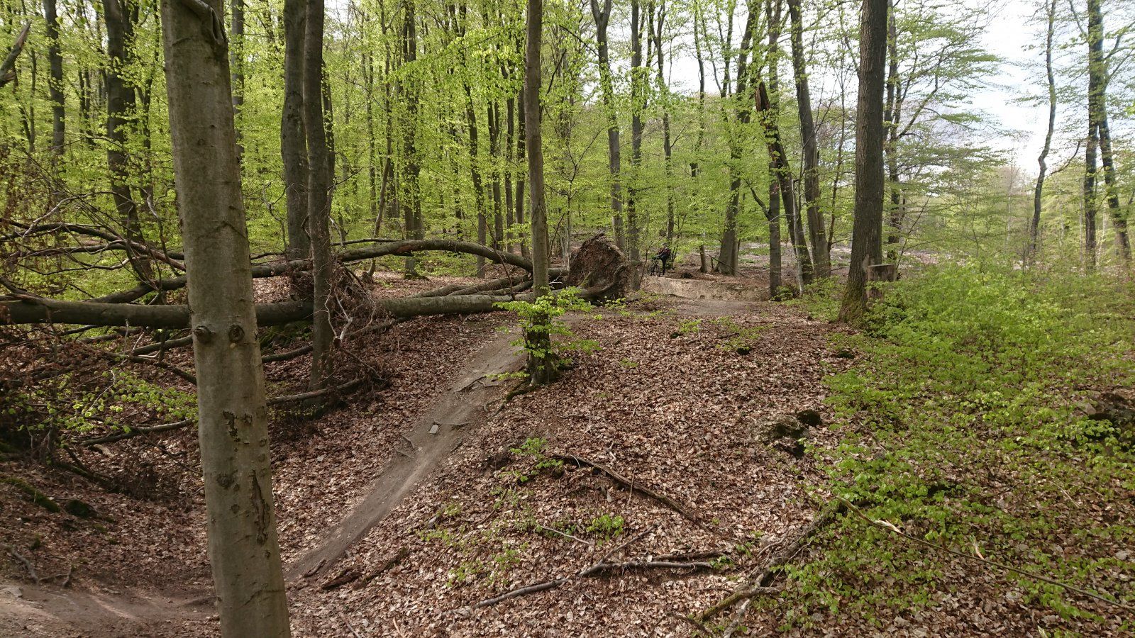 DSC_4149.JPG