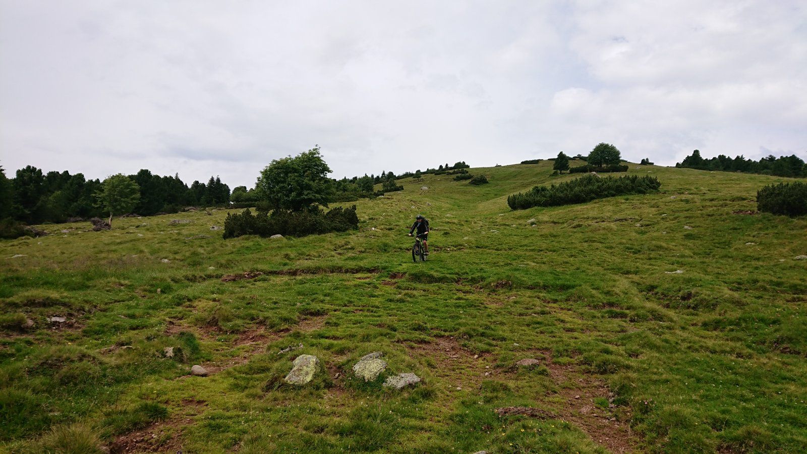 DSC_4983.JPG