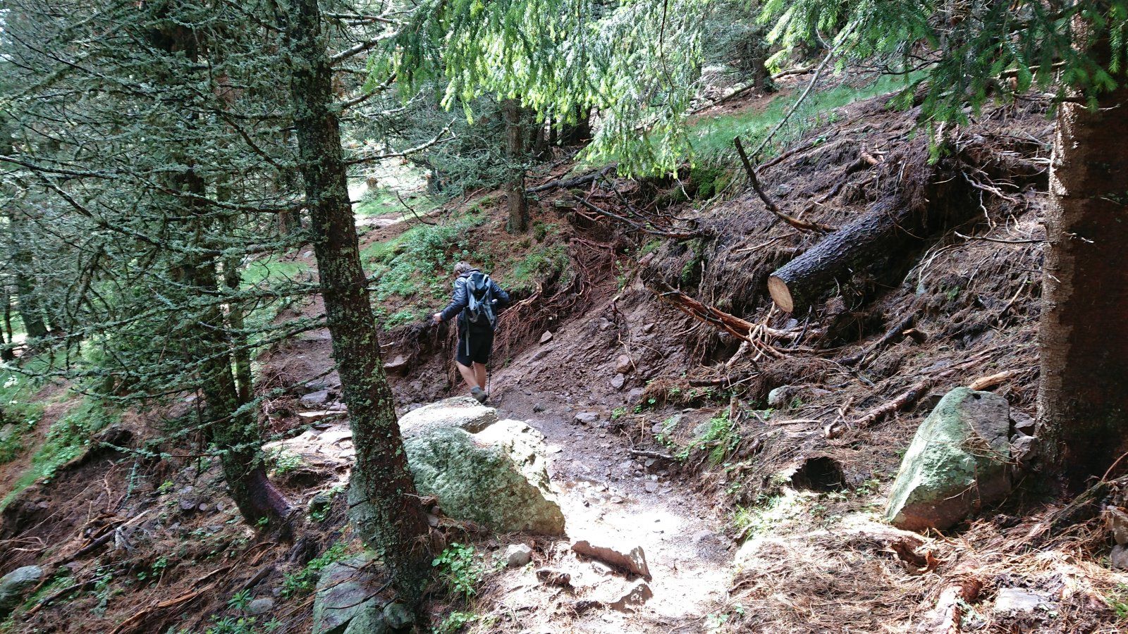 DSC_4996.JPG