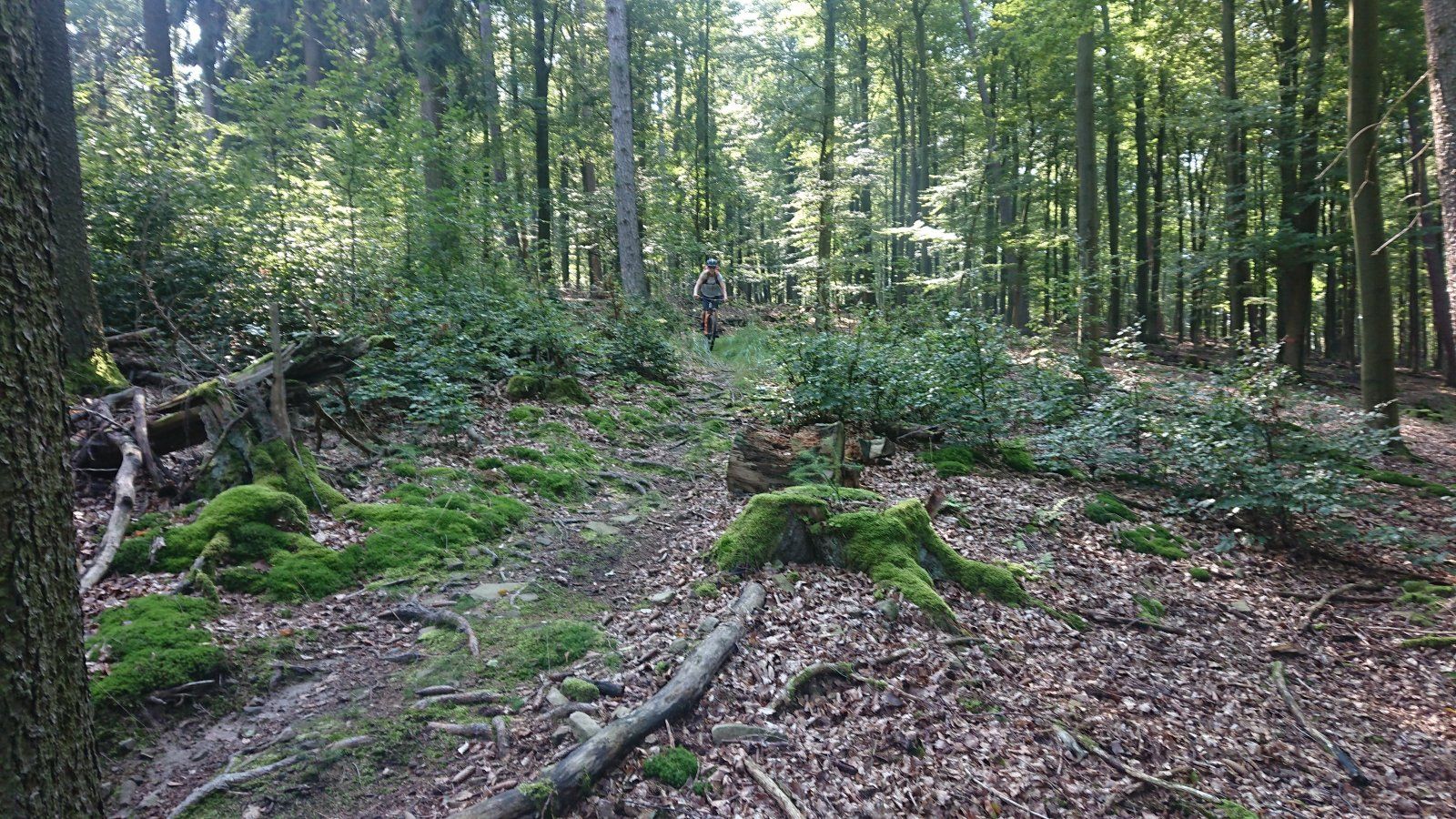 DSC_5214.JPG