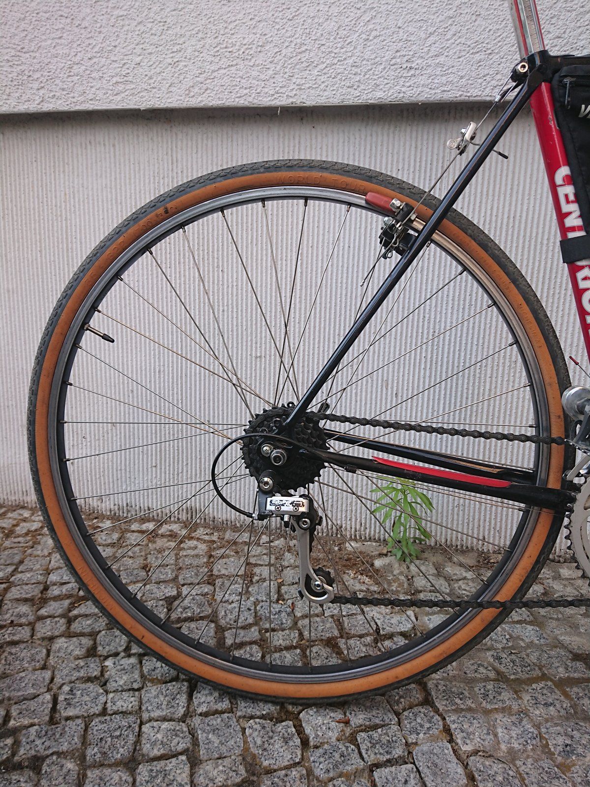 DSC_6288.JPG