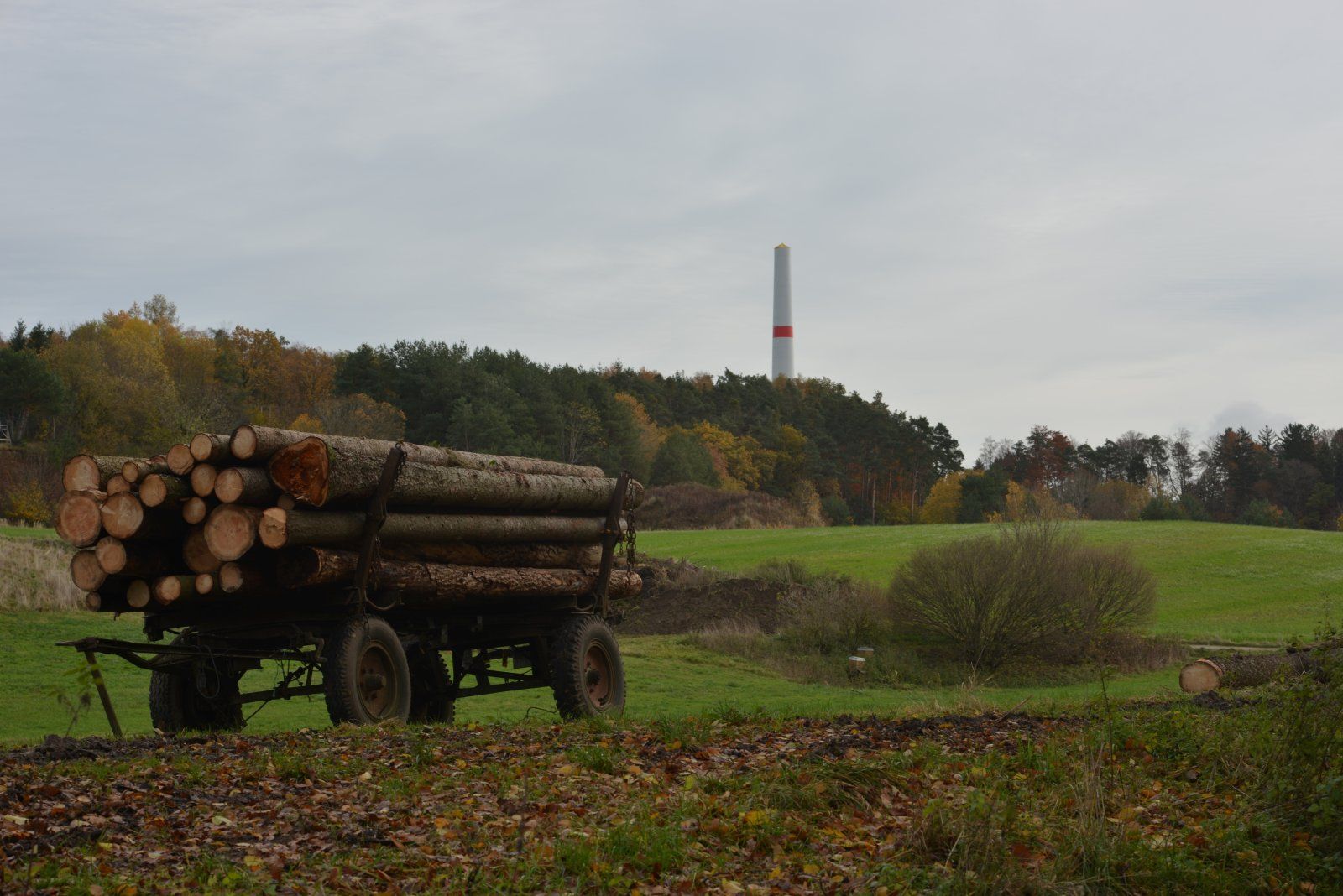 DSC_6310.jpg