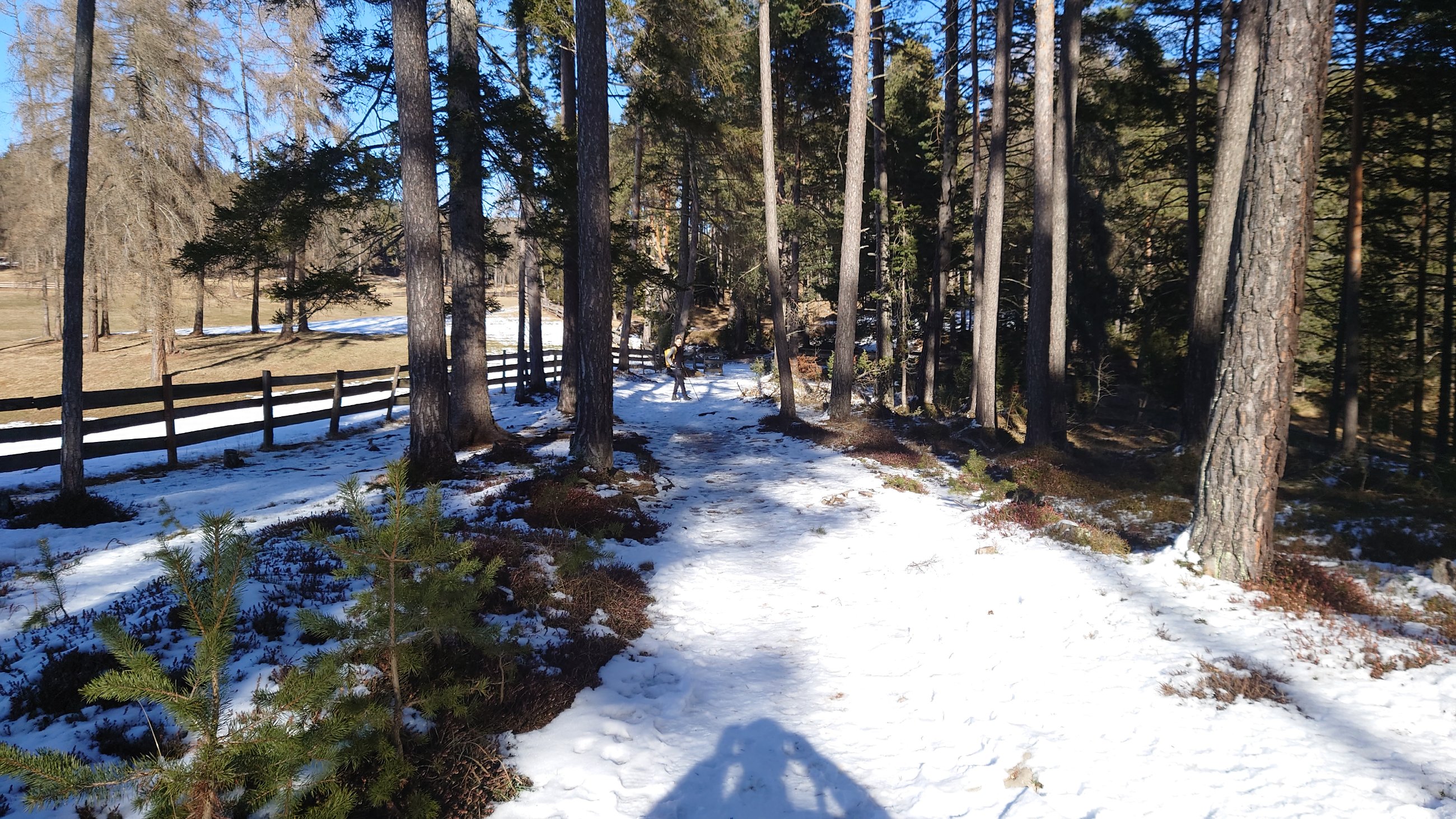 DSC_7038.JPG