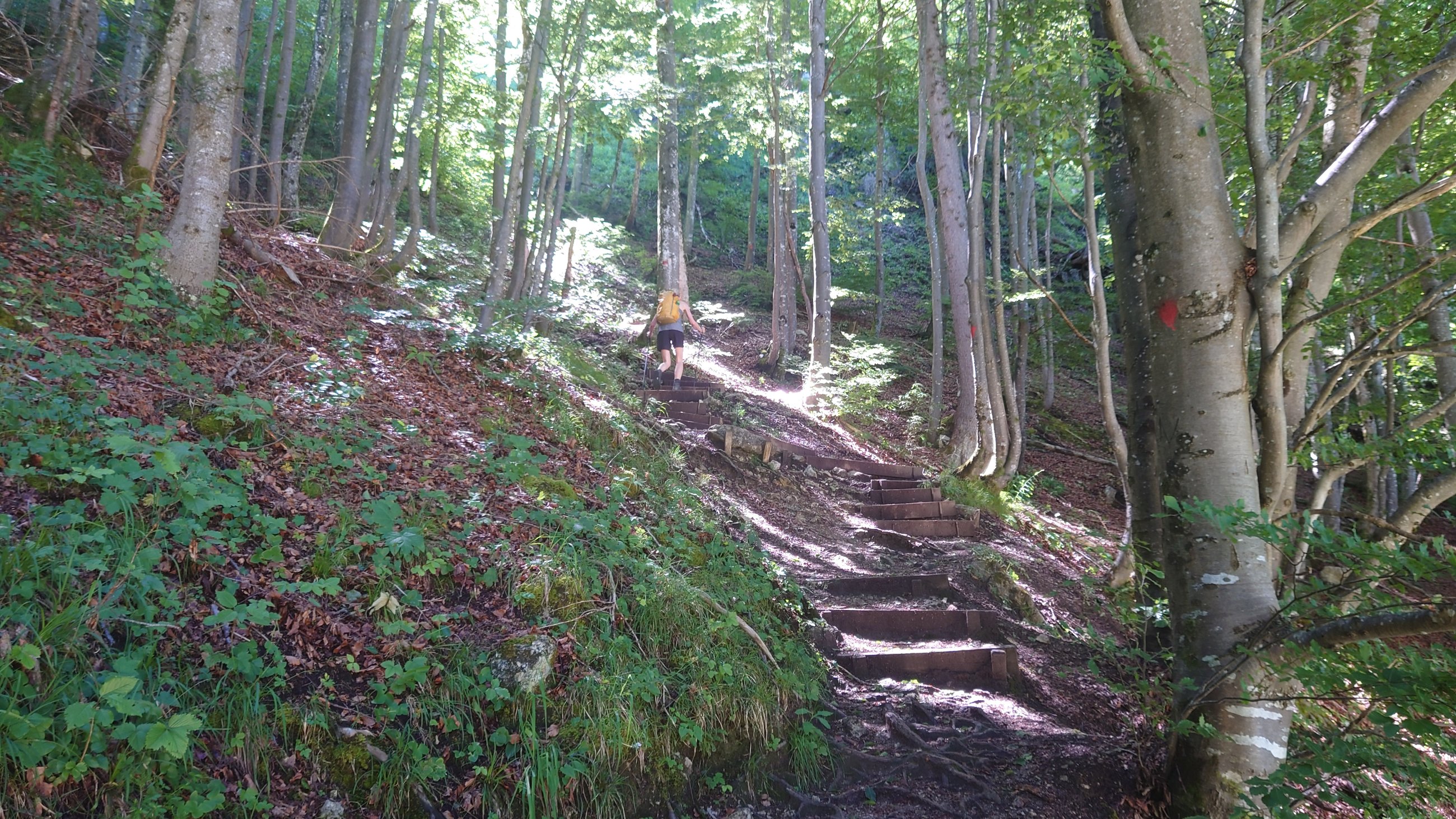 DSC_7090.JPG