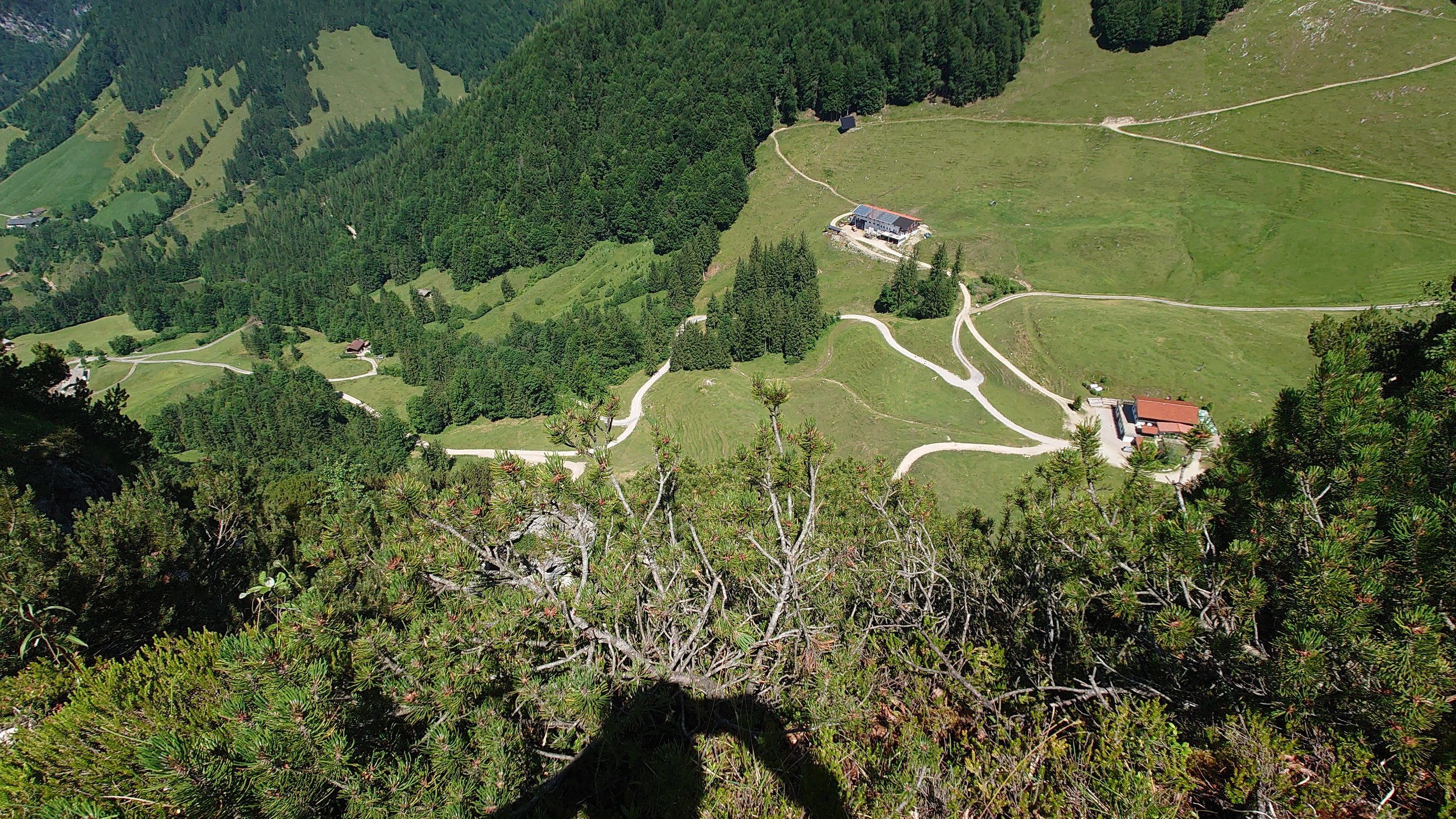 DSC_7097.JPG
