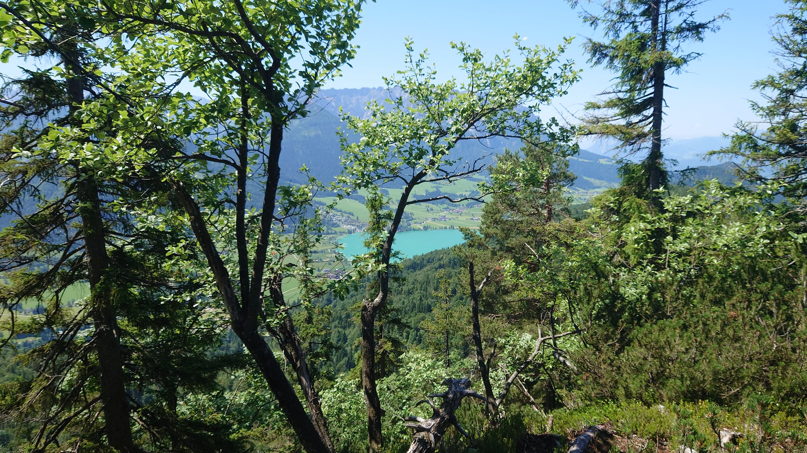 DSC_7105.JPG