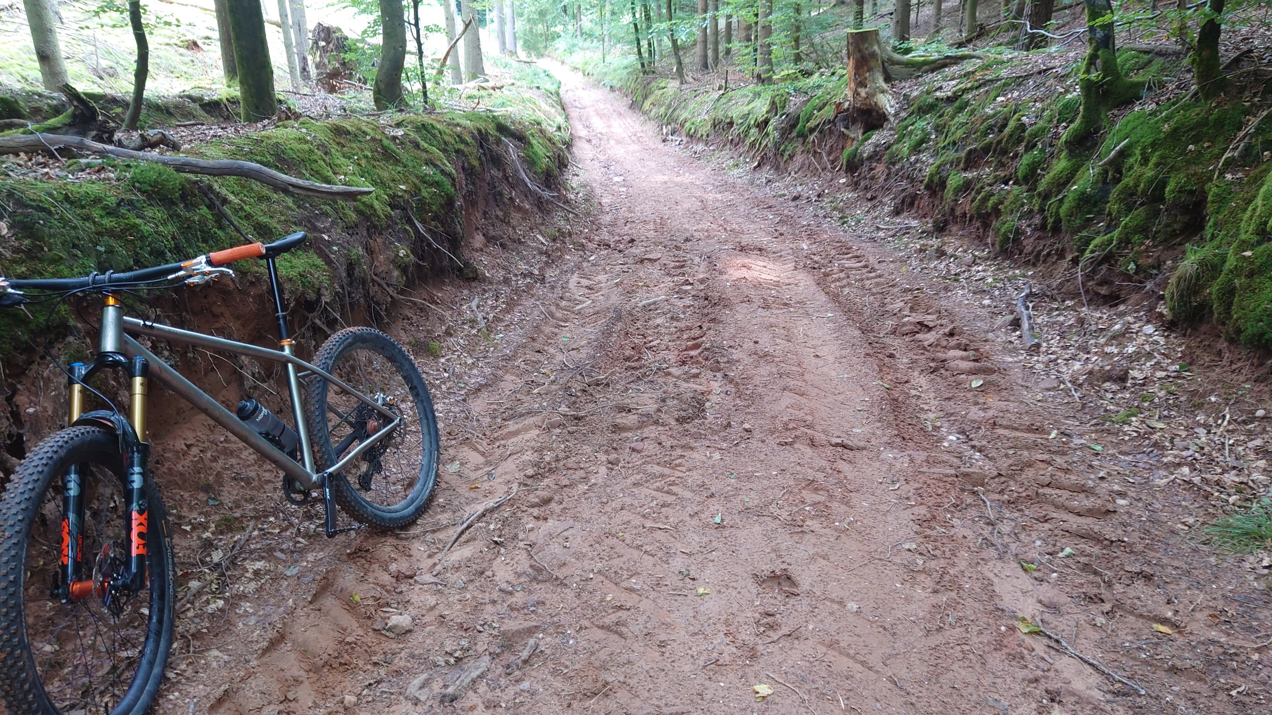 DSC_7483.JPG