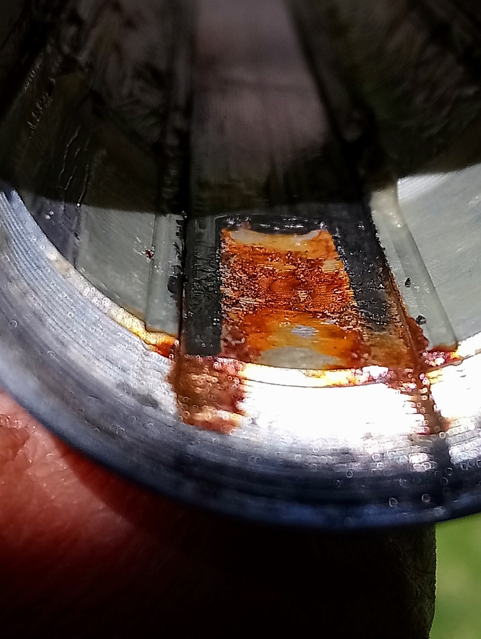 DSC_8331.JPG