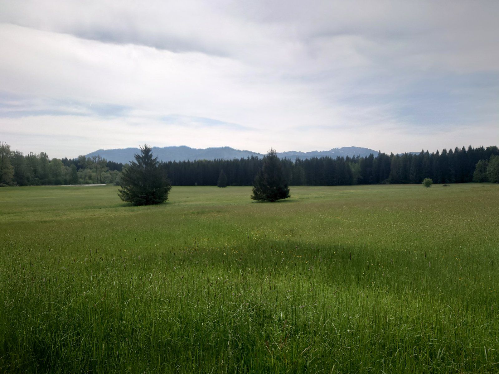 DSC_8644.JPG