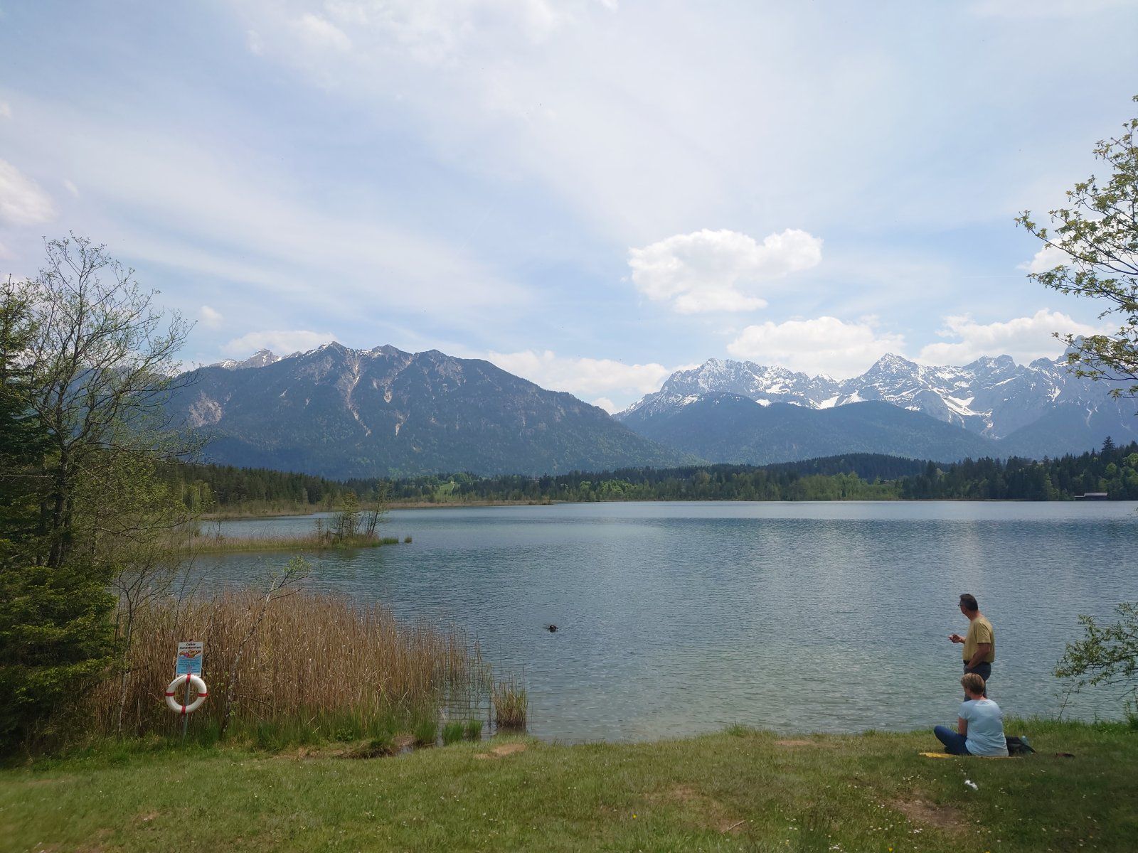 DSC_8661.JPG