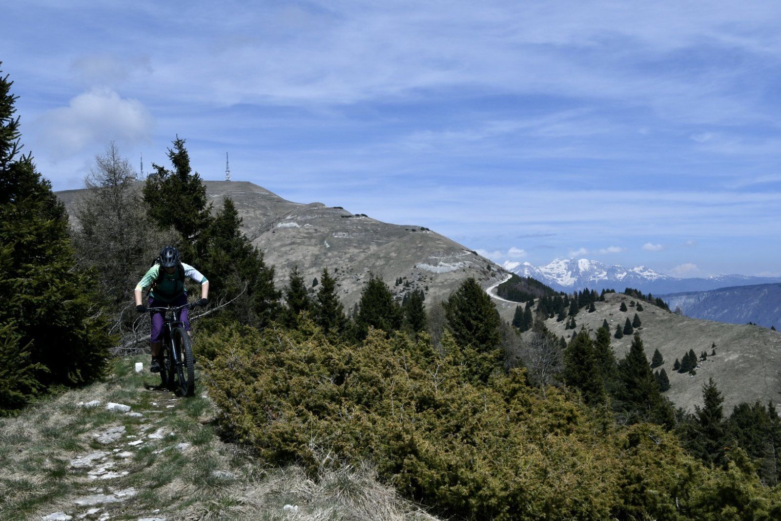 DSC_E4701.JPG