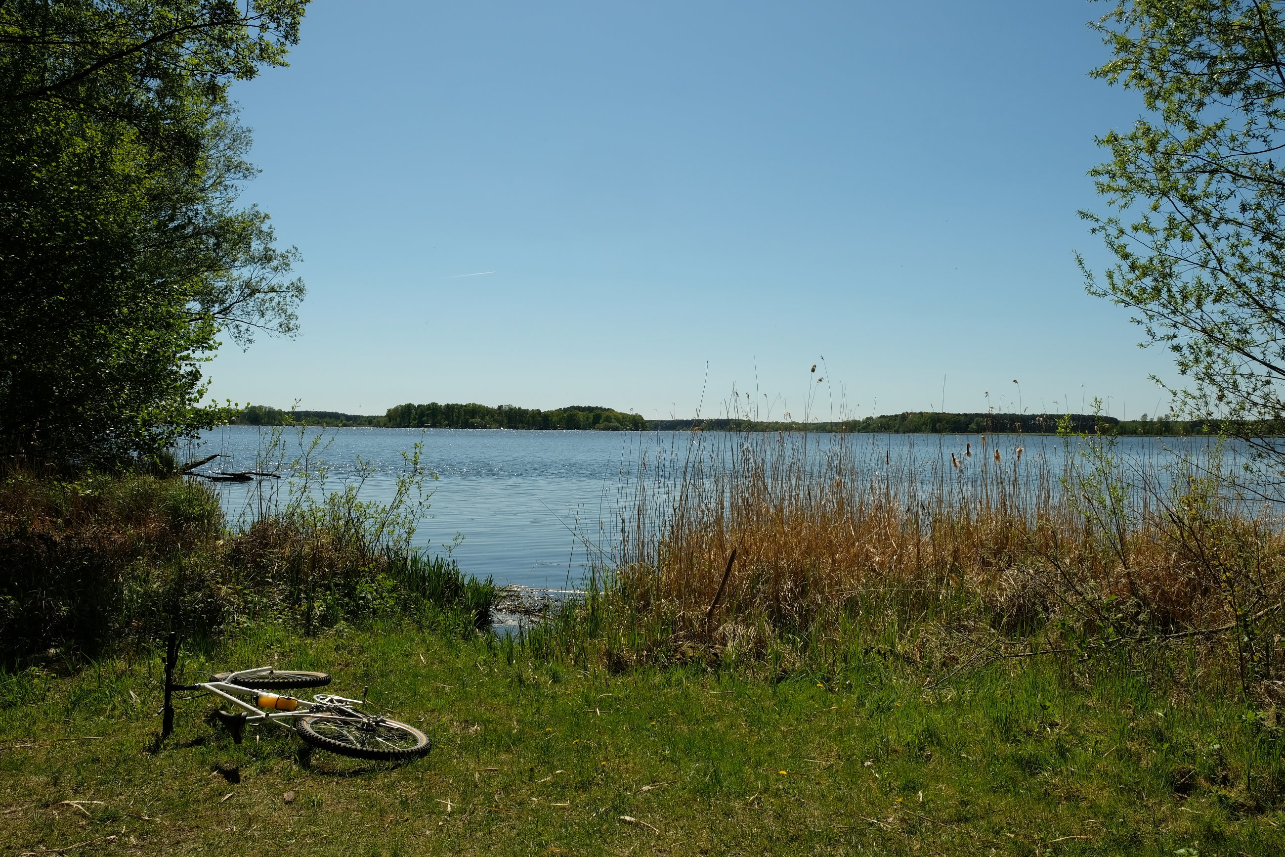 DSCF0094.JPG