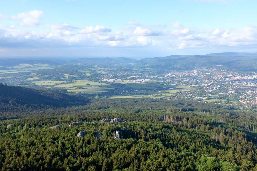DSCF0394.jpg