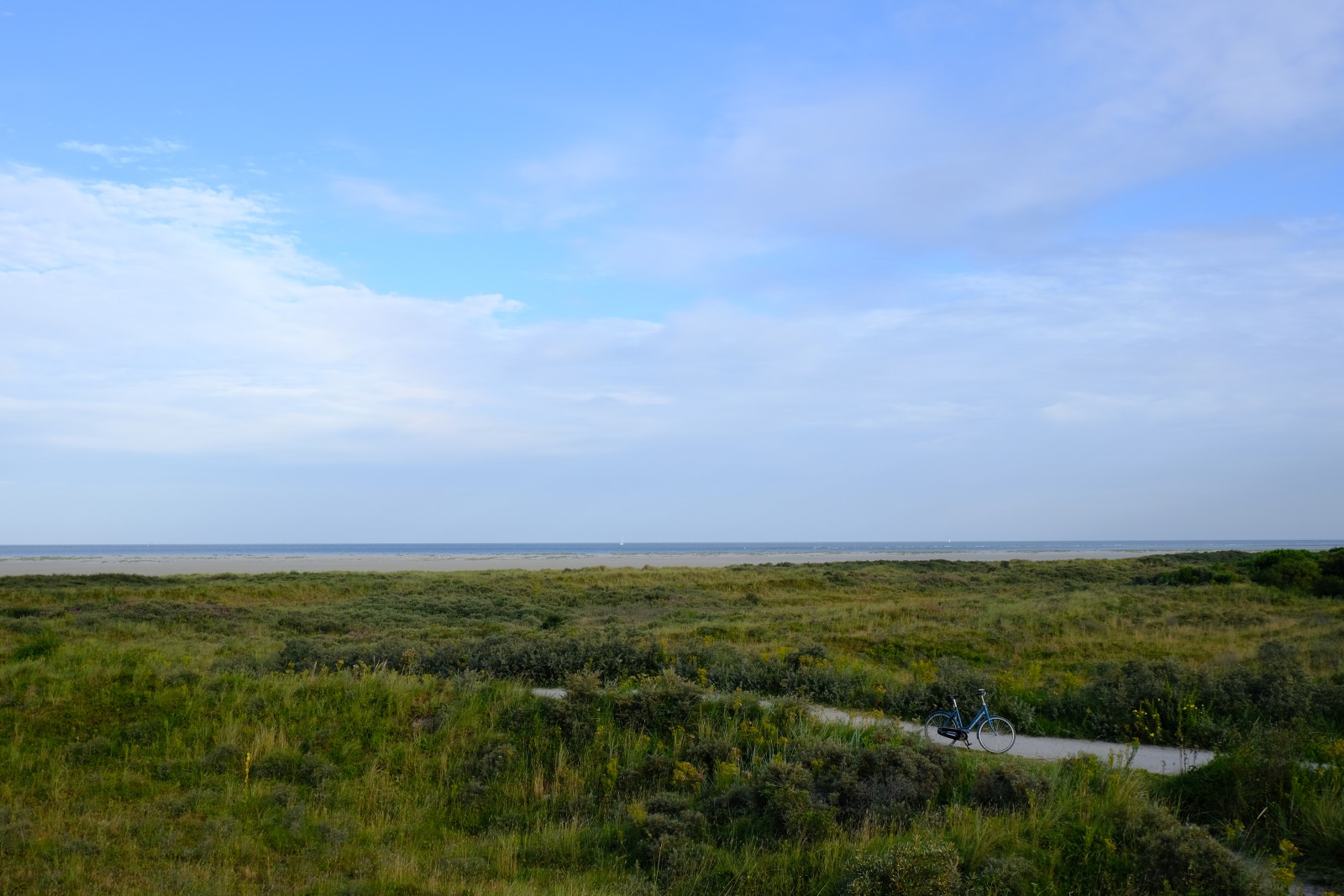 DSCF0690.JPG