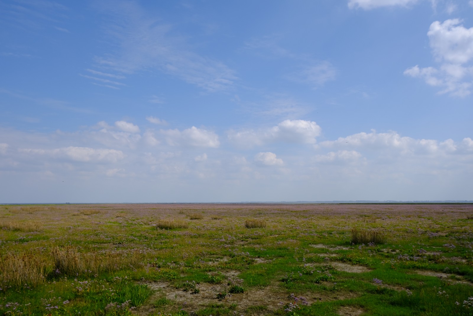 DSCF0736.JPG