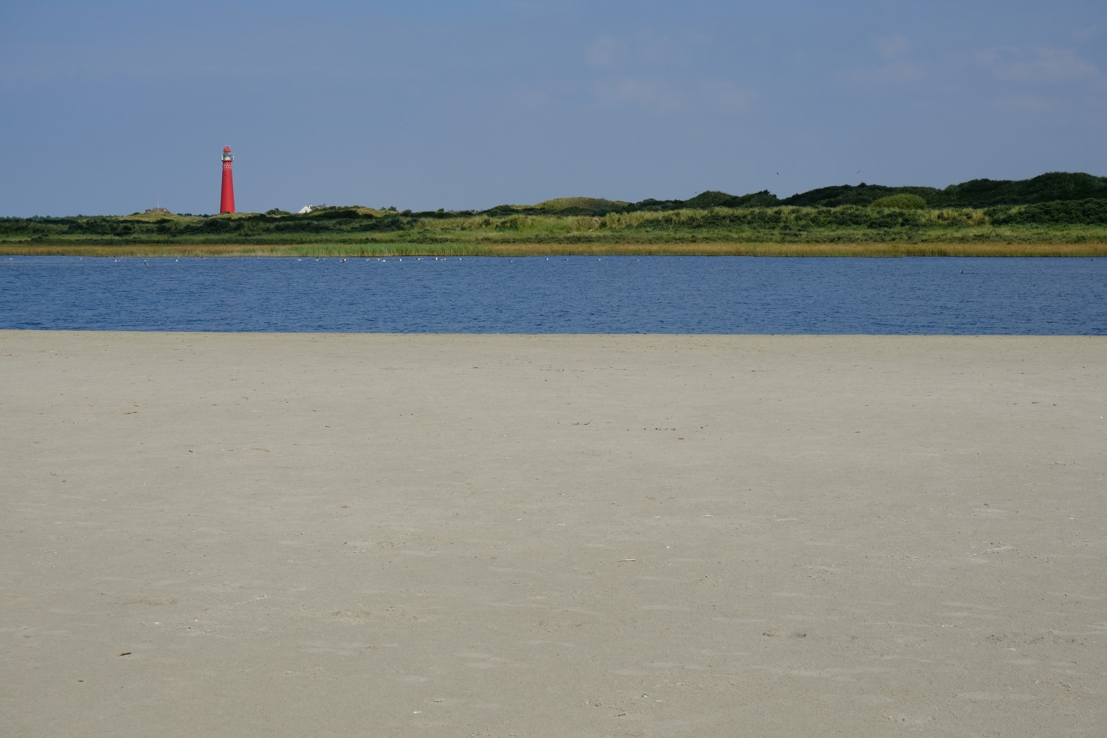DSCF0754.JPG