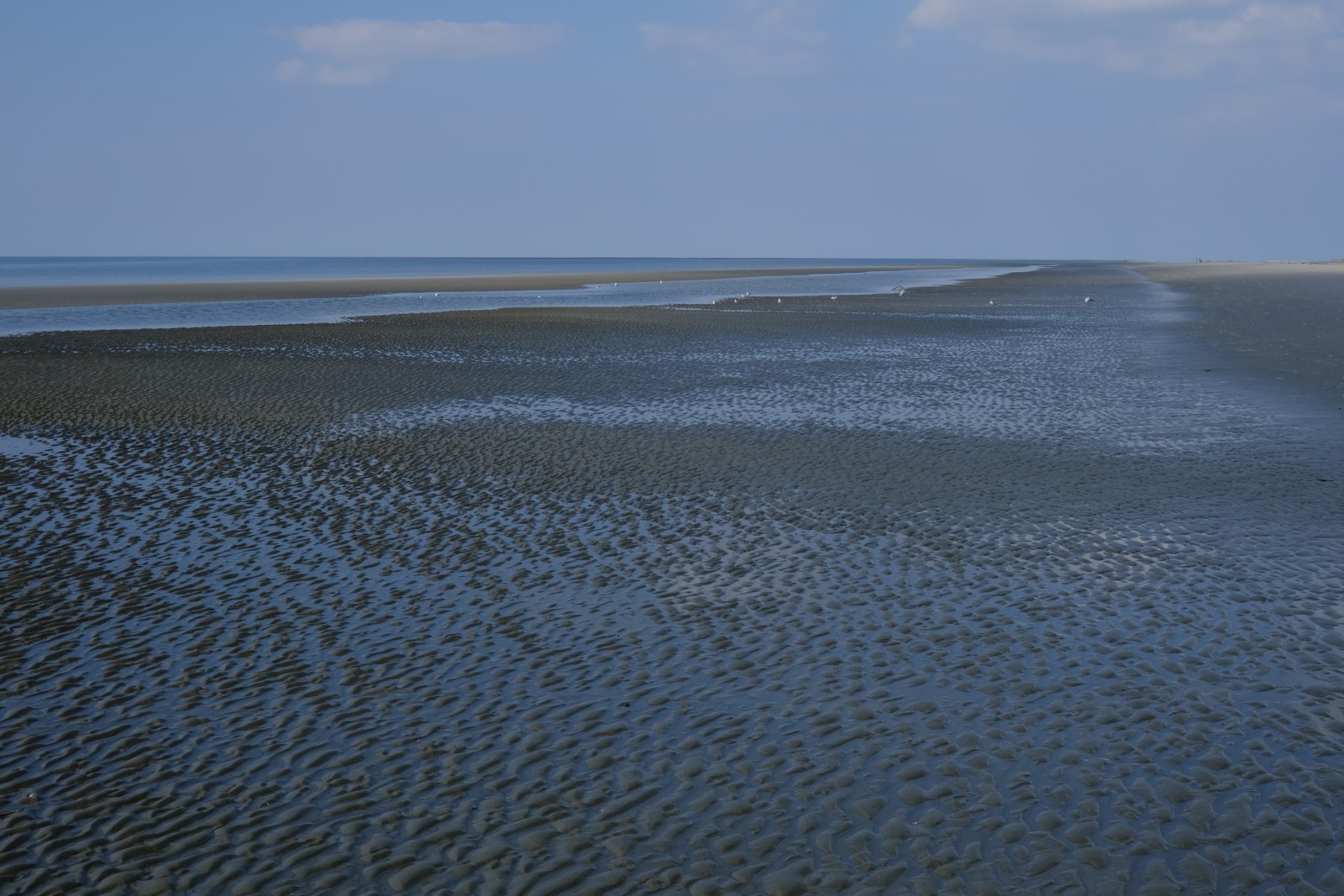 DSCF0770.JPG