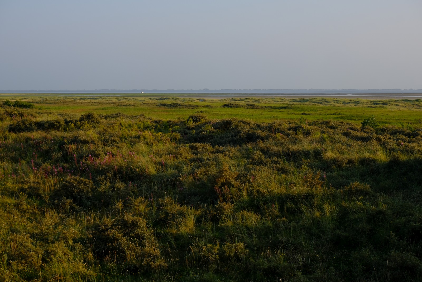 DSCF0782.JPG