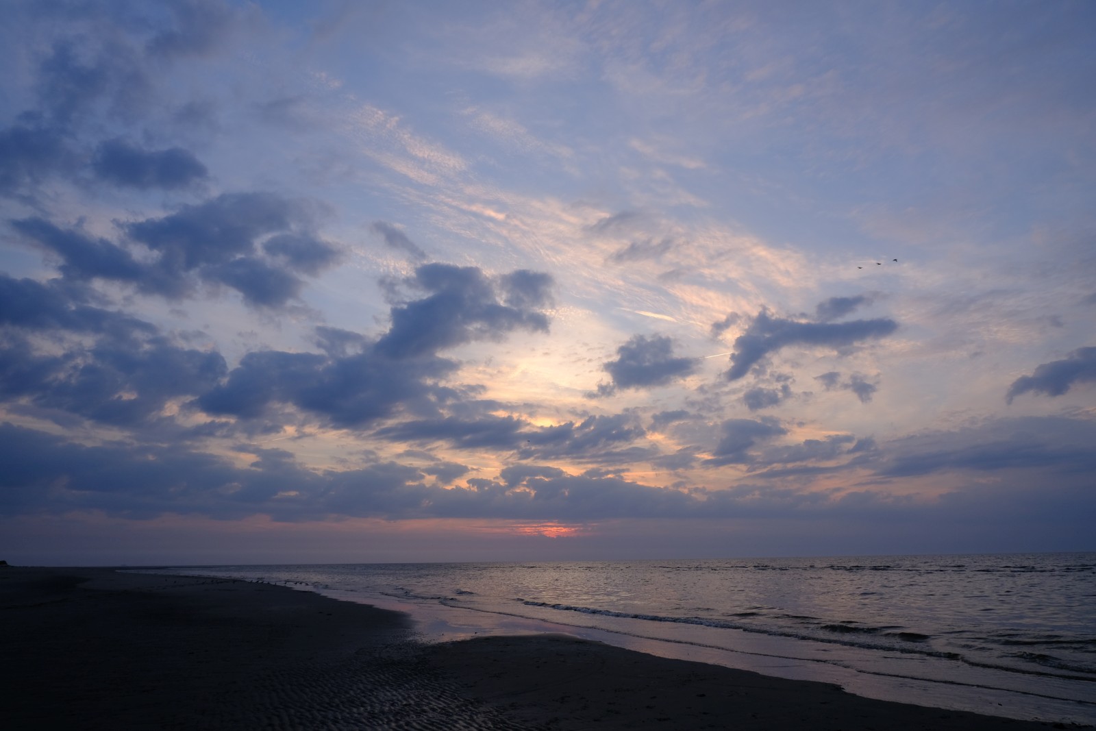 DSCF0799.JPG