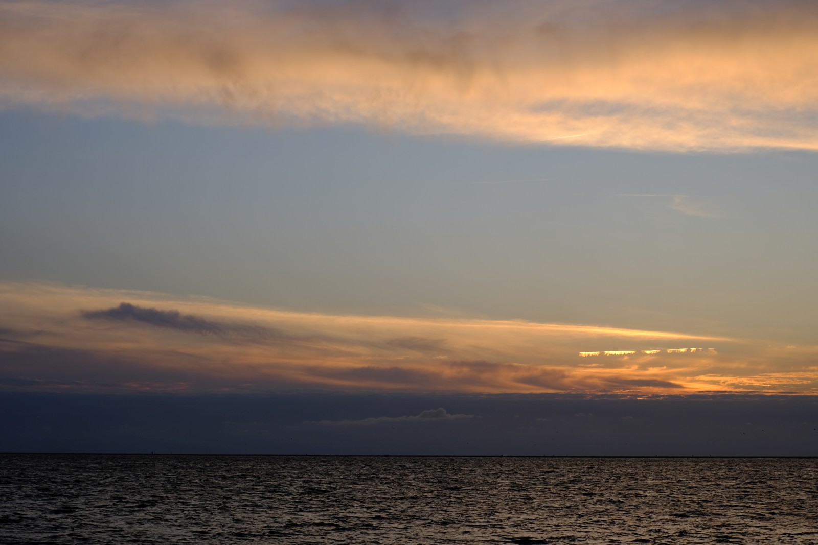 DSCF0960.JPG